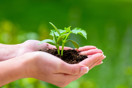 Frau h / Erwin Wodicka - wodicka@aon.at Eine Frau h