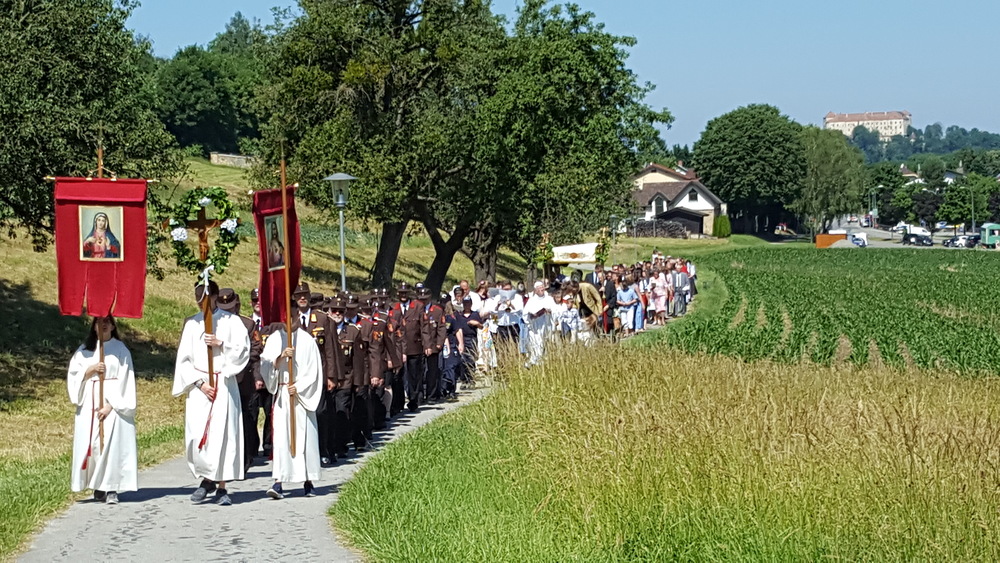 Wiener Erzbischof leitete Stadtumgang - In Graz und Linz überlappten sich die Umzüge mit gleichzeitigen evangelischen Kirchentagen