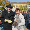 Auftakt zum 'Zukunftsforum' am 5. Oktober 2013 auf dem Wiener Yppenplatz