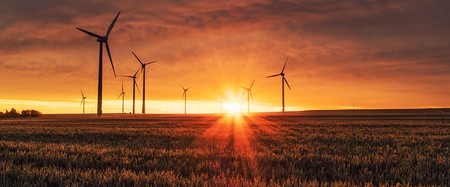 Klimaschutz-Experte: 'Das Richtige zu tun muss sich gut anfühlen'