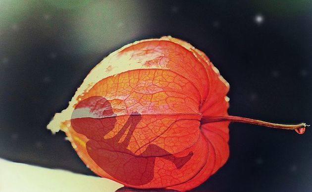 Symbolbild eines Fötus / pixabay / gemeinfrei