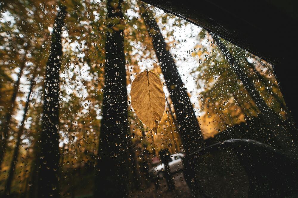 Foto von FURKAN GÜNEŞ