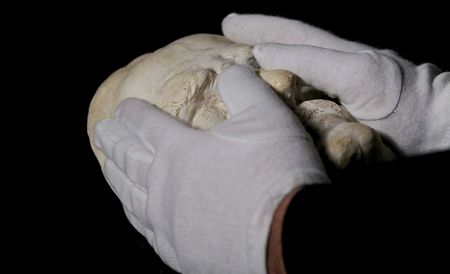 Symbolbild für Ausstellung 'Raub'