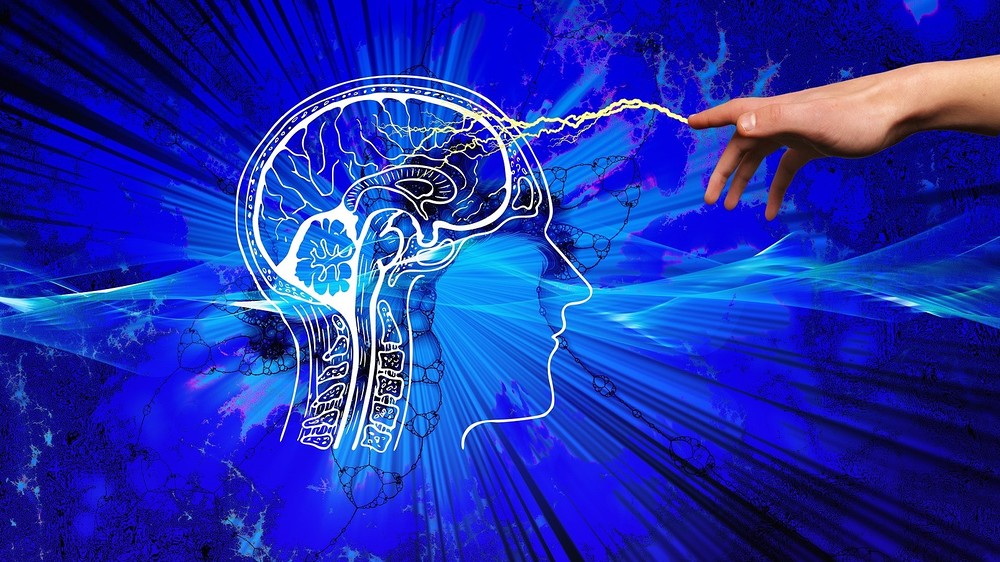 Symposium Dürnstein fragt nach dem Gehirn uns seiner Gesellschaft / pixabay