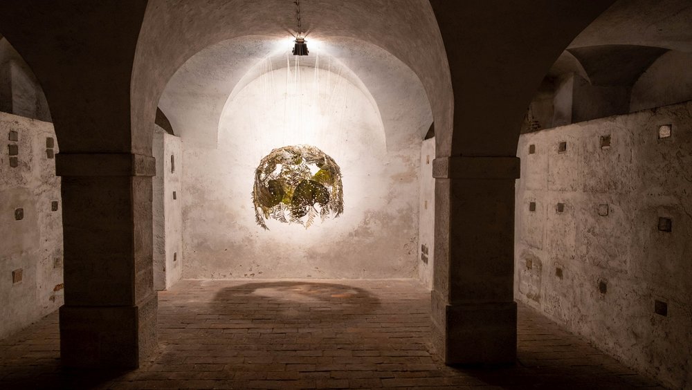 „Symbiotic Matter“ von Ruth Größwang / Diözese Linz / Kienberger