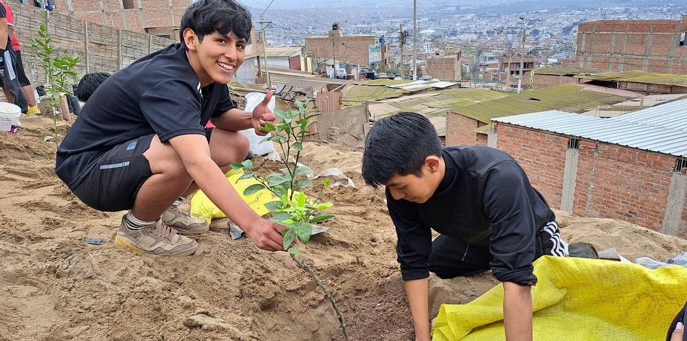 Diözese St. Pölten: 150.000 'Fasten-Würfel' gehen in die Pfarren