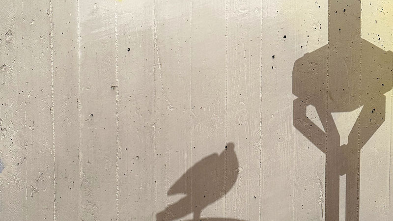 'Hoffnung Frieden' Ausstellung im Grazer Diözesanmuseum / Diözesanmuseum Graz 'Hoffnung Frieden' Ausstellung im Grazer Diözesanmuseum