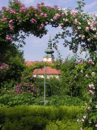 KONICA MINOLTA DIGITAL CAMERA  