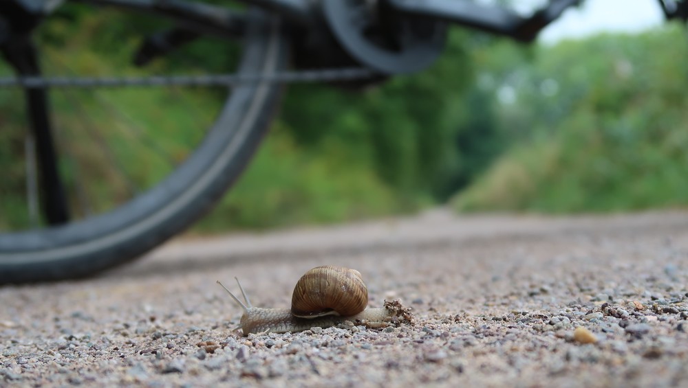 Sanfte Mobilität mit dem Fahrrad / Kathpress / Robert Mitscha-Eibl