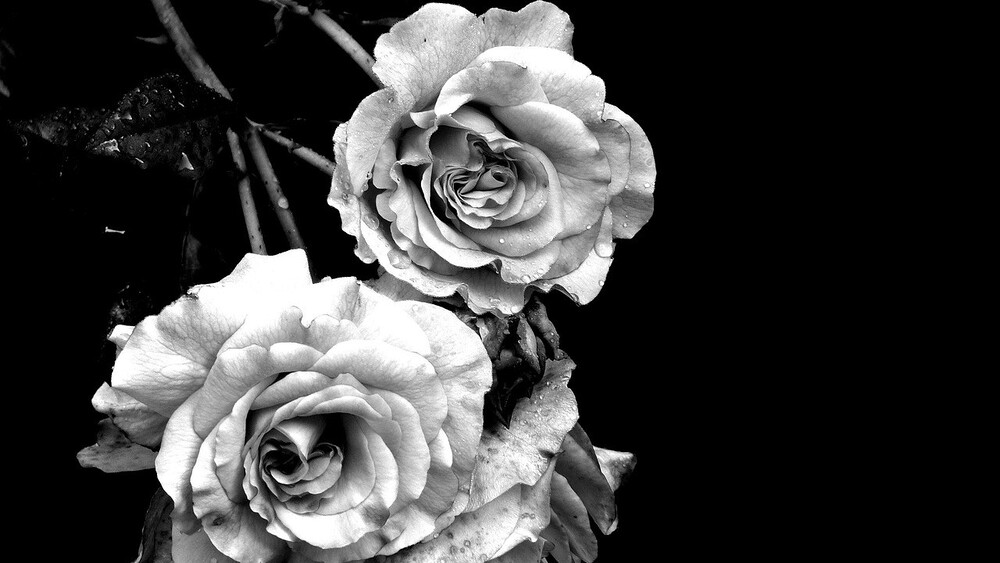 Trauer / Martina/Pixabay Tabu im Gespräch: Kirchliche Tagungen widmen sich Tod und Trauer