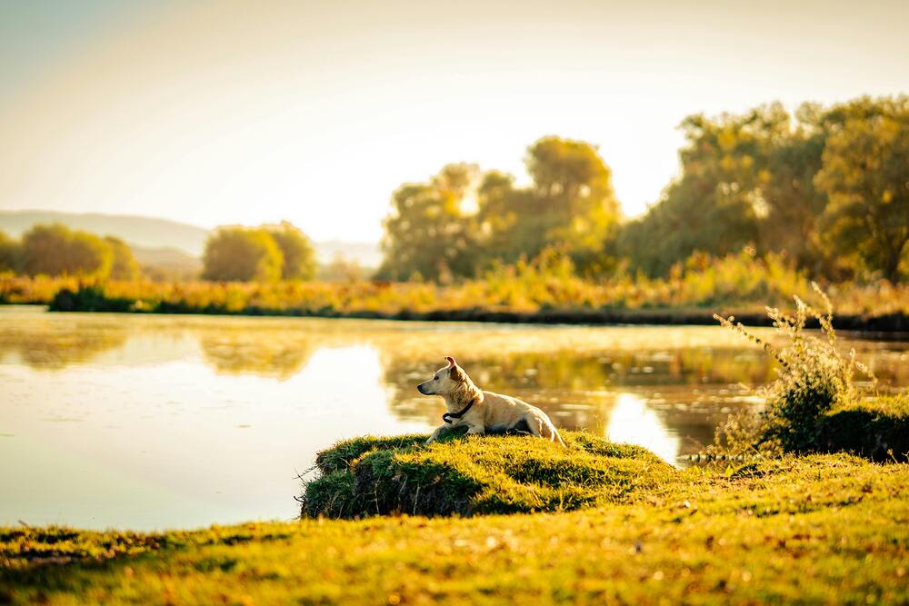 Foto von Zeynep Sude Emek
