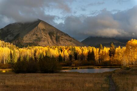 Lebenskunst am 26.10.2025
