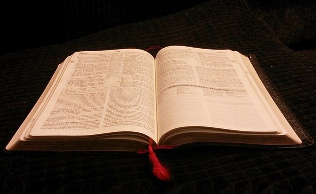 Bischöfe regen zum Lesen der Bibel an