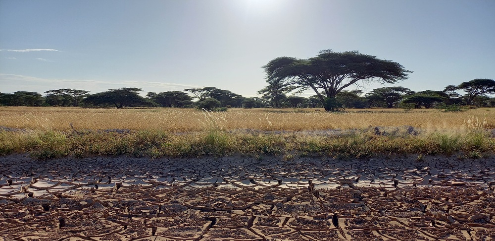 Ausgetrocknete Landschaft in Kenia / Marlene Groihofer / Kathpress Ausgetrocknete Landschaft in Kenia