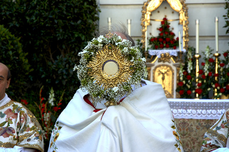 Fronleichnam, Kardinal Sch?nborn tr?gt das Allerheiligste in der Monstranz.     Wien, 26.5.2005         ? Franz Josef Rupprecht; A-7123 M?nchhof; Bank: Raiffeisenbank M?nchhof (BLZ: 33054), Konto.-Nr.: 17.608 