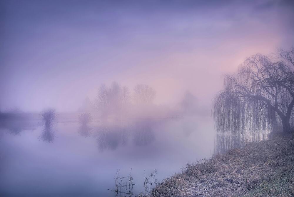 Foto von Maurizio Fecchio