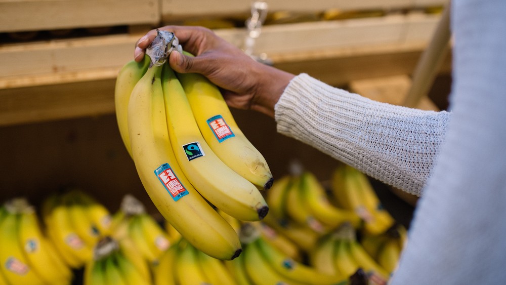 30 Jahre 'Fairtrade': Nachhaltigkeit und Erfolg kein Widerspruch / Fairtrade America