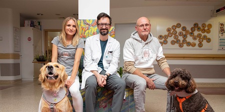 Linz: Ordensklinikum setzt Therapiehunde ein