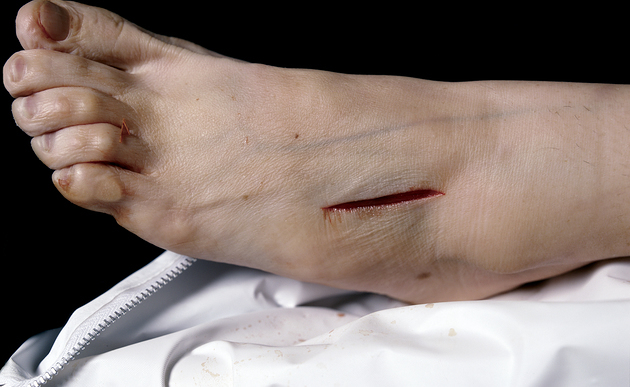 Ausstellung 'Zeig mir deine Wunde' Dom Museum Wien / Dom Museum Wien