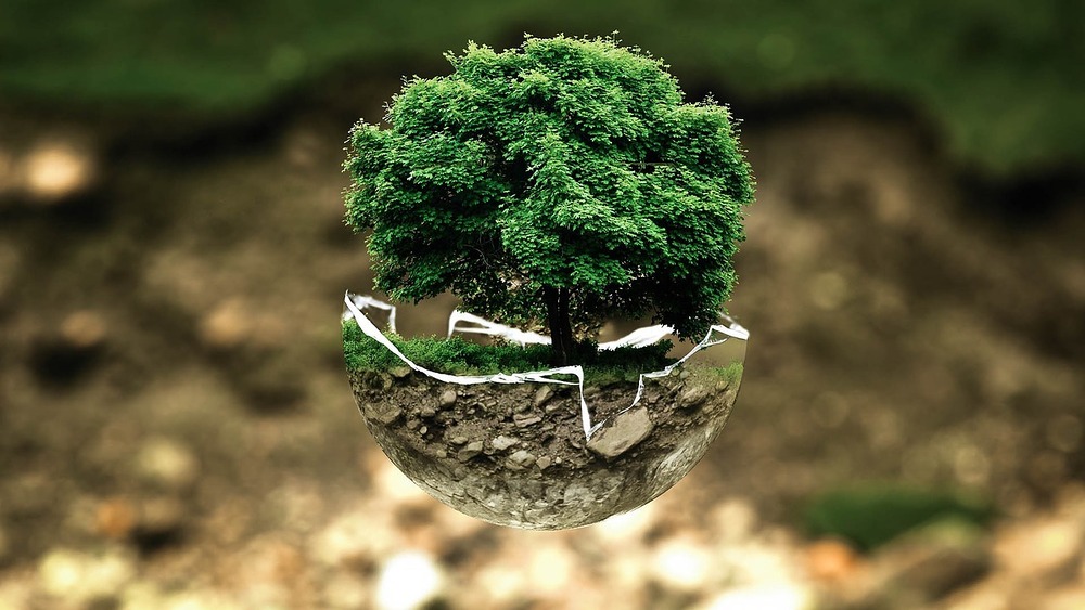 Nachhaltigkeit; Umweltschutz; Klimawandel