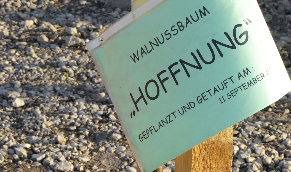 Wallnussbäumchen 'Hoffnung' an der Anschlussstelle Hirschstetten / Franz Helm