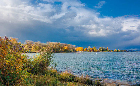 Naturschutzgebiet Seemoosriet / Motiv Ökumenischer Tag der Schöpfung