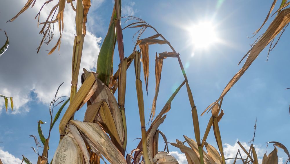 Kirchenexperte: Klimakatastrophe hat Österreich 'voll erreicht'