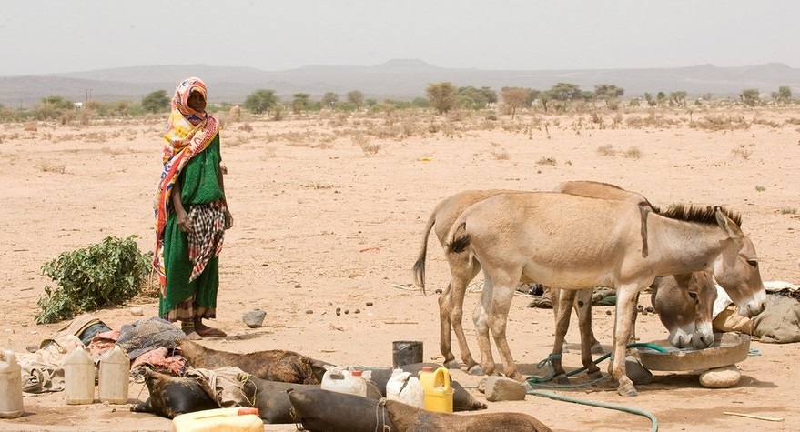 Betroffene der Dürrekrise in Äthiopien / Caritas Internationalis