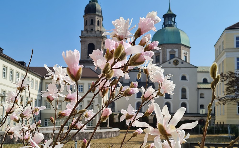 Katholisch-Theologische Fakultät der Universität Innsbruck / KTF Uni Innsbruck