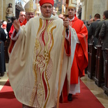 Weihe von Werner Freistetter am 11. Juni 2015 im Wiener Neustädter Dom