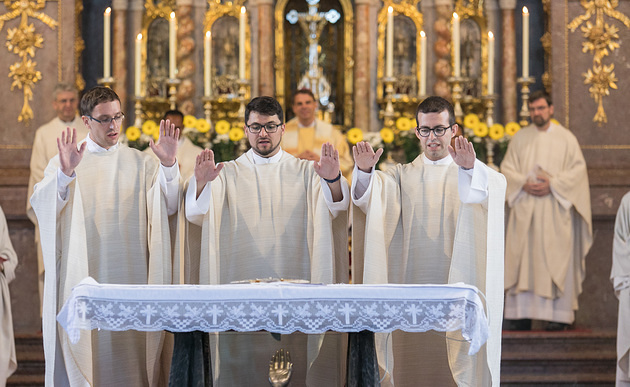 Priesterweihe Benediktbeuern 1.7.2018 / Klaus D. Wolf www.wolf-bild.de, Klaus D. Wolf