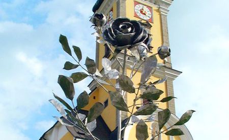 Friedensrose / Wolfgang Zarl