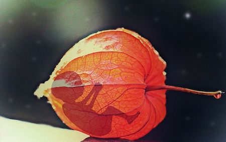 'Lebensbejahende Lösungen' für Schwangerschaftskonflikte nötig