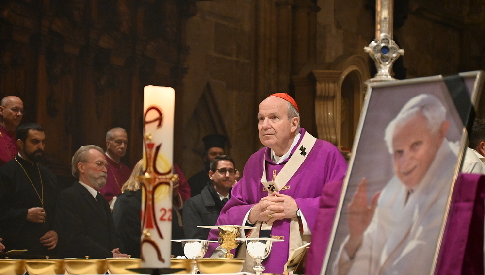 Gänswein-Buch: Schönborn bestärkte Ratzinger Papst-Wahl anzunehmen