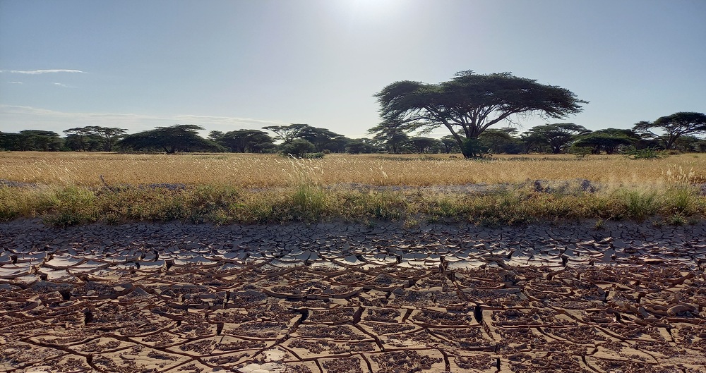 Caritas-Hungerkampagne 2023 / Marlene Groihofer/Kathpress Österreichweites Glockenläuten gegen den Hunger am 25. Juli