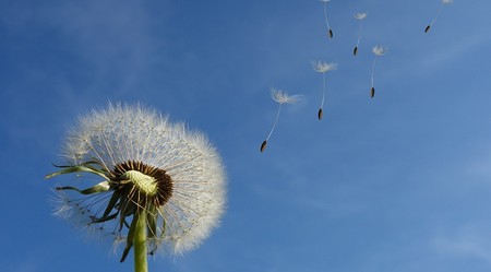 Theologe: In Kirchenkrise kann das Alte Testament Orientierung bieten