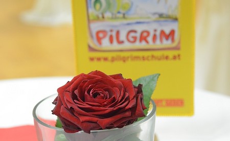 'Pilgrim'-Feier: Kardinal Turkson betont Nachhaltigkeitsanliegen