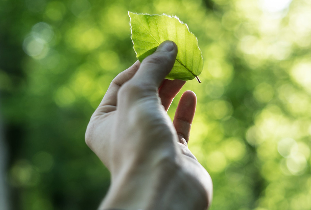 Katholische Aktion für Ökologisierung des Steuersystems