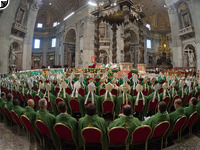 Bischofssynode im Vatikan