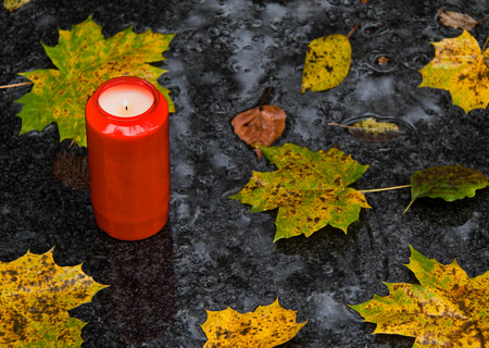 Grablicht zu Allerheiligen im Herbst mit Bl / bilderbox.com