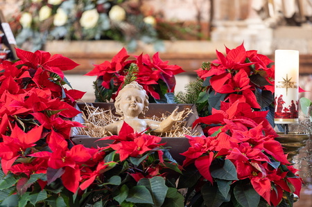 Die Hauptfigur der Weihnachtskrippe ist das Jesuskind. Ein Säugling, der in einem ärmlichen Stall als Notunterkunft im Stroh einer vermutlich nicht sehr sauberen Futterkrippe liegt. Als 'das Christuskind' symbolisiert er Gott, der ohne weltliche Besi