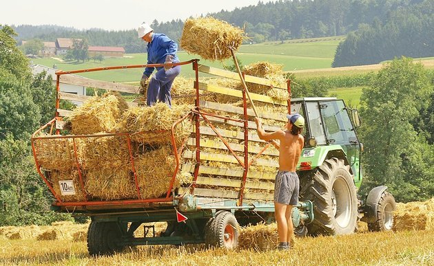 Strohballen Ernte [ (c) www.BilderBox.com, Erwin Wodicka, Siedlerzeile 3, A-4062 Thening, Tel. + 43 676 5103678.Verwendung nur gegen HONORAR, BELEG, URHEBERVERMERK nach AGBs auf bilderbox.com], Ackerbau, agrar, Agrarwirtschaft, Agrikultur, ejw, Ernte