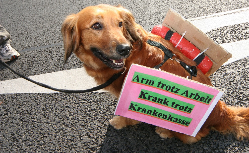 Demonstration mit Hund [ (c) www.BilderBox.com, Erwin Wodicka, Siedlerzeile 3, A-4062 Thening, Tel. + 43 676 5103678.Verwendung nur gegen HONORAR, BELEG,URHEBERVERMERK und den AGBs auf bilderbox.com](in an im auf aus als and beim mit einer einem eine