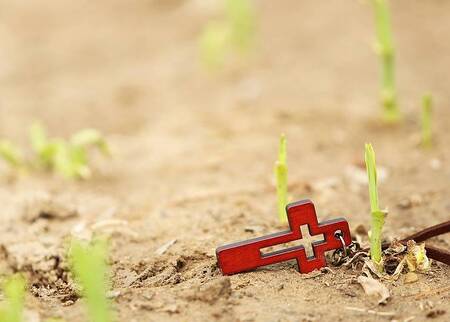 Kreuz und junger Trieb