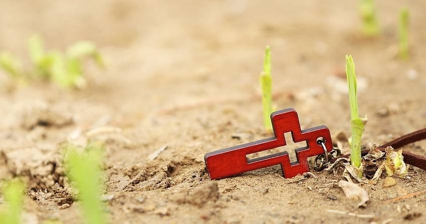 Kreuz und junger Trieb / pixabay.com / gemeinfrei Kreuz und junger Trieb