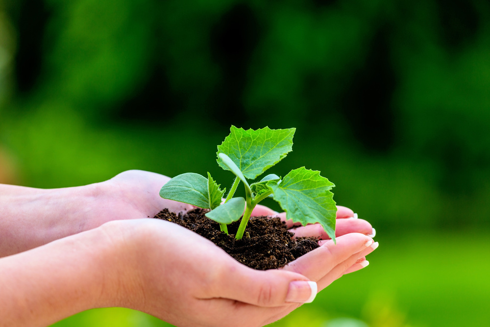 Umwelt, Ökologie / Erwin Wodicka - wodicka@aon.at Umwelt, Ökologie