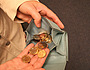 Geldboerse mit Muenzen / Money purse with coins [ (c) www.BilderBox.com, Erwin Wodicka, Siedlerzeile 3, A-4062 Thening, Tel. + 43 676 5103678.Verwendung nur gegen HONORAR, BELEG,URHEBERVERMERK und den AGBs auf bilderbox.com](in an im auf aus als and 