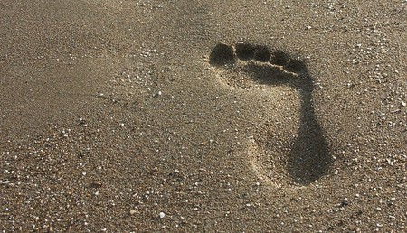 Weltgebetstag um geistliche Berufungen: Viele Initiativen trotz Corona