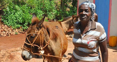 Bäuerin mit Maultier / www.miva.at Bäuerin mit Maultier