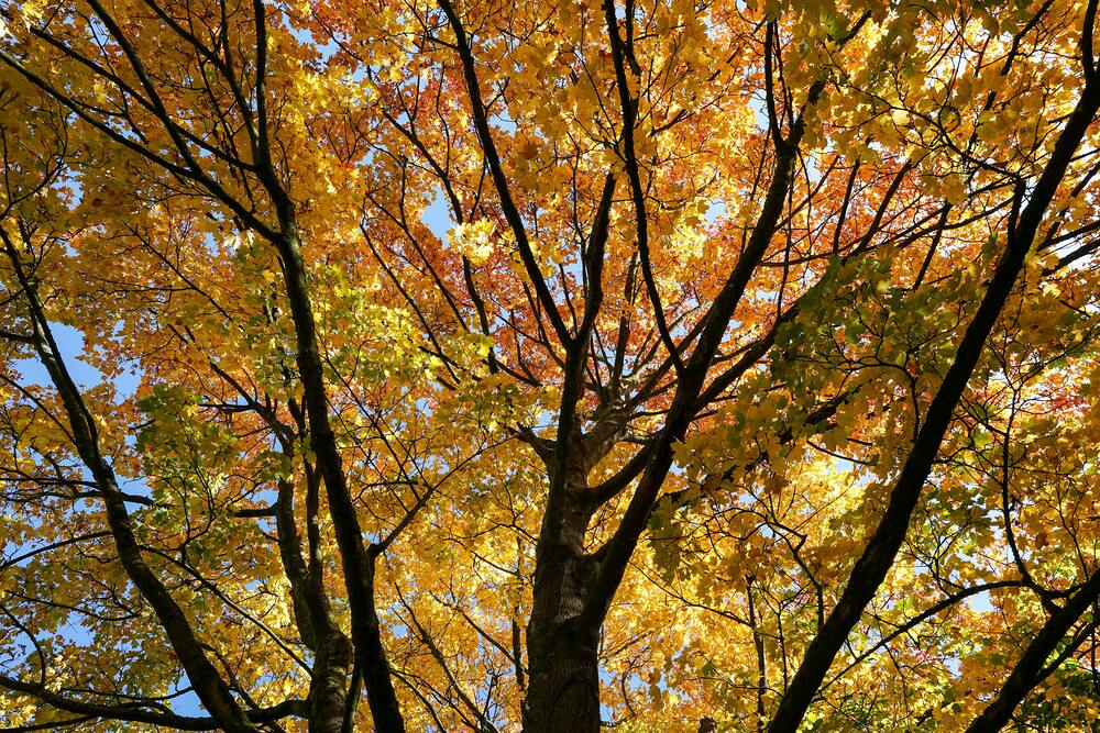 Foto von Wolfgang Weiser